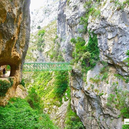 Гостьовий будинок Casas Rurales De Каін Екстер'єр фото